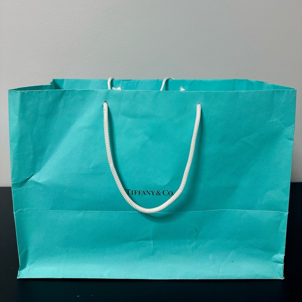 Tiffany & Co. Turquoise Tote Bag. Medium /large Size.